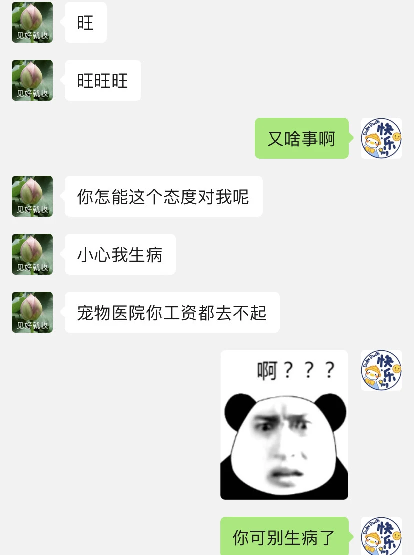 我爸每天沉迷当狗无法自拔——今天闹脾气了