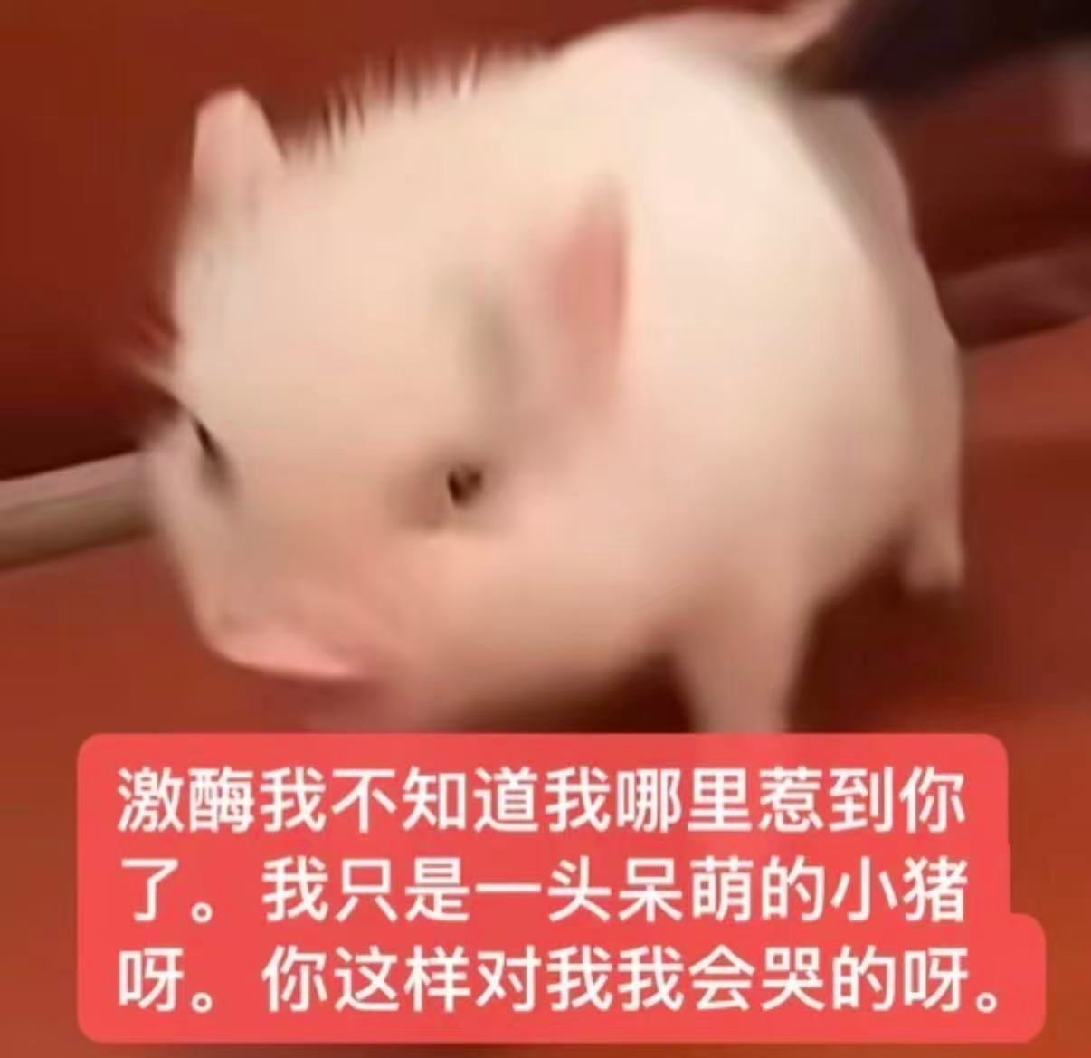 日行一善积大德日行两善积积大大德