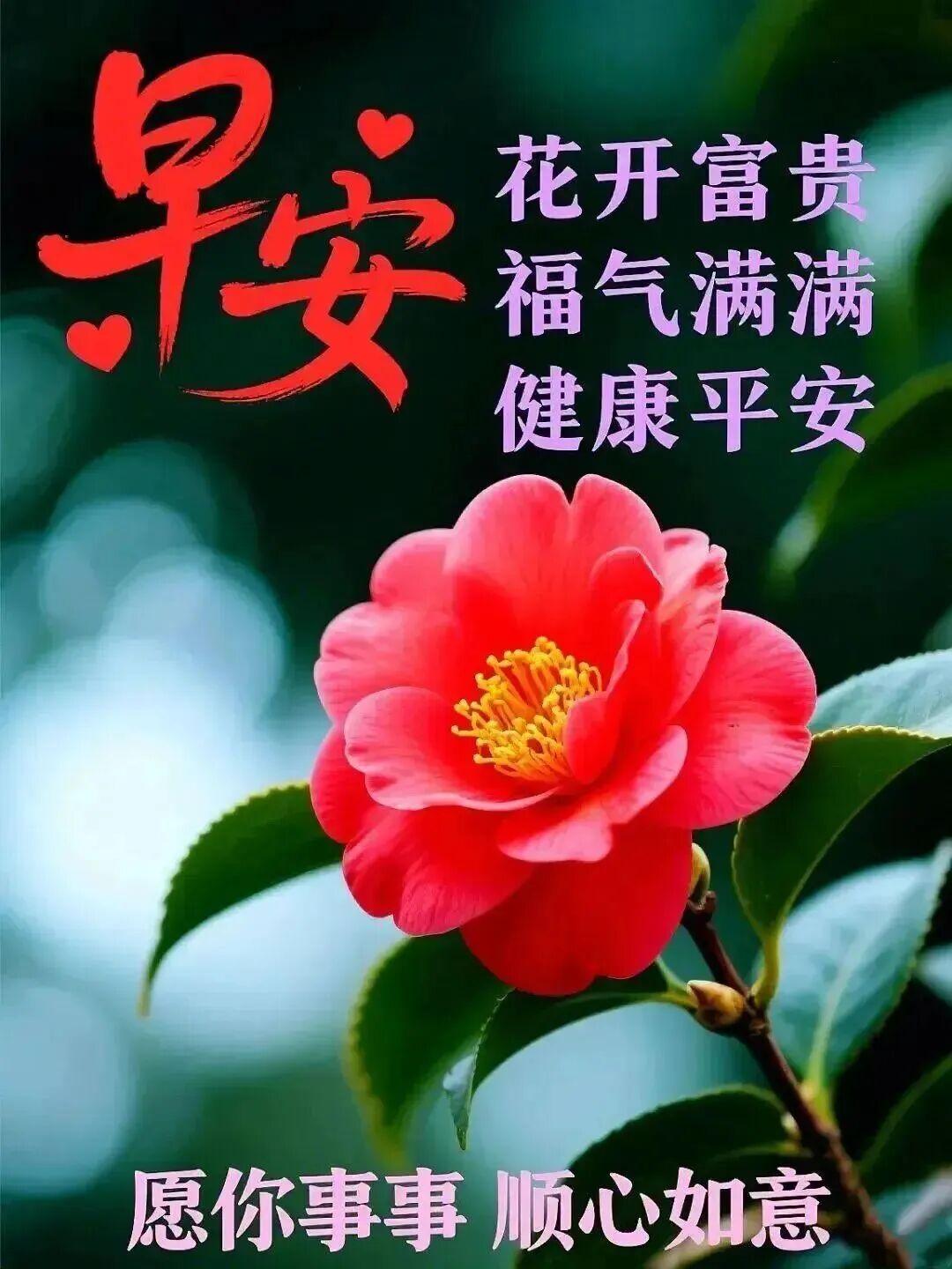 每天的问候，如同幸福的快递，打开，是祝福；收到，是安康；看到，是如意；品读，是吉