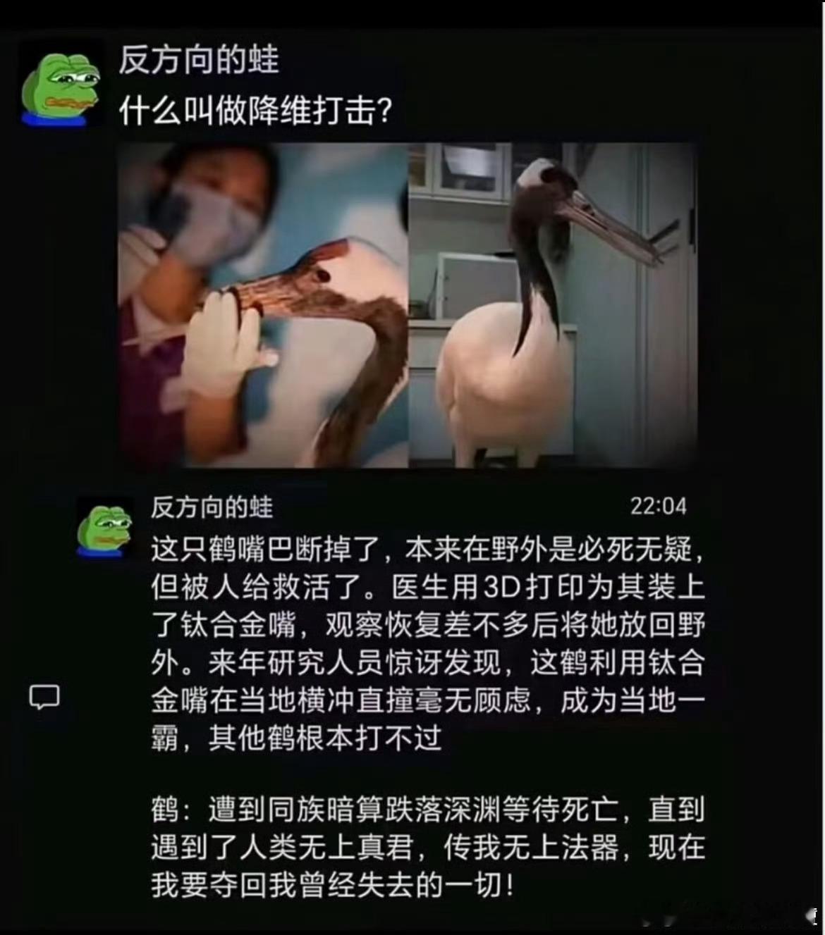 这就是降维打击的感觉吗？