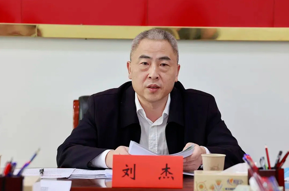 对统计造假失察, 湖南省涟源市委原书记刘杰被“双开”
