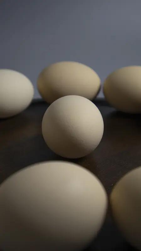 河南农村夫妻36万枚鸡蛋卖出36万元，买家是河南矿山！“他给员工发福利的，提前1