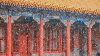 北京下雪北京的雪下大了如果你今天想去故宫拍雪景但是没预约，可以试试景山公园、太庙