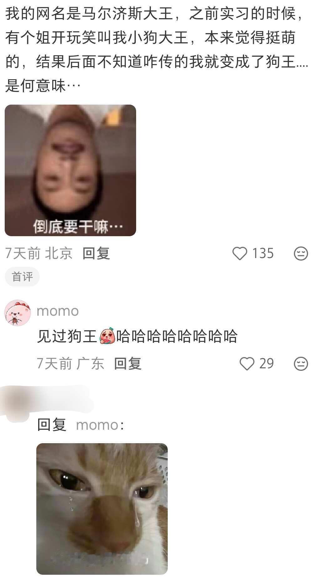 谁上班被喊网名啊！！！！！