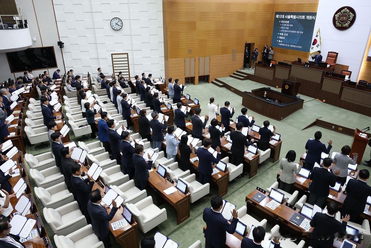 韩国共同民主党尽管输掉了首尔市长选举，但是在新一届首尔市议会中拿下80席，席位占