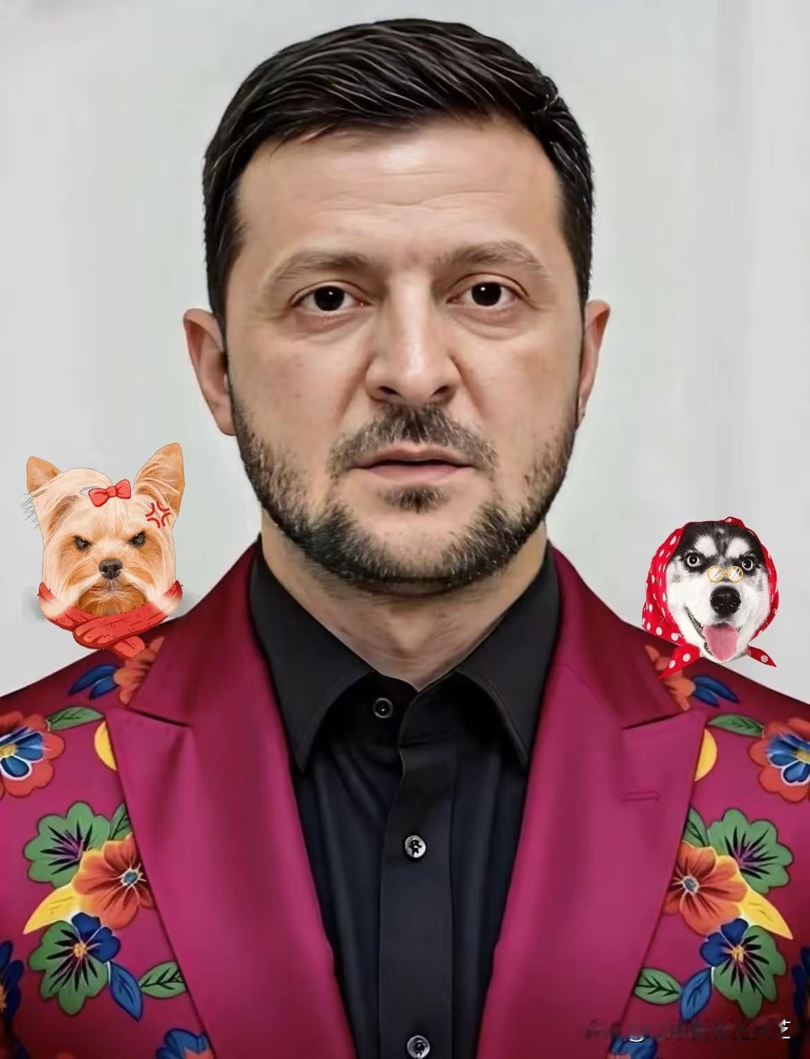 快讯！乌克兰正式宣布了！12月26日，乌克兰总统泽连斯基称，若普京同意6