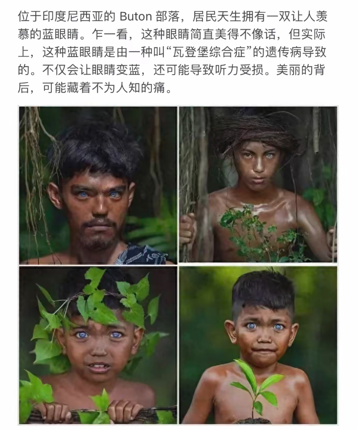 神秘的蓝眼睛部落，隐藏在雨林深处的秘密。