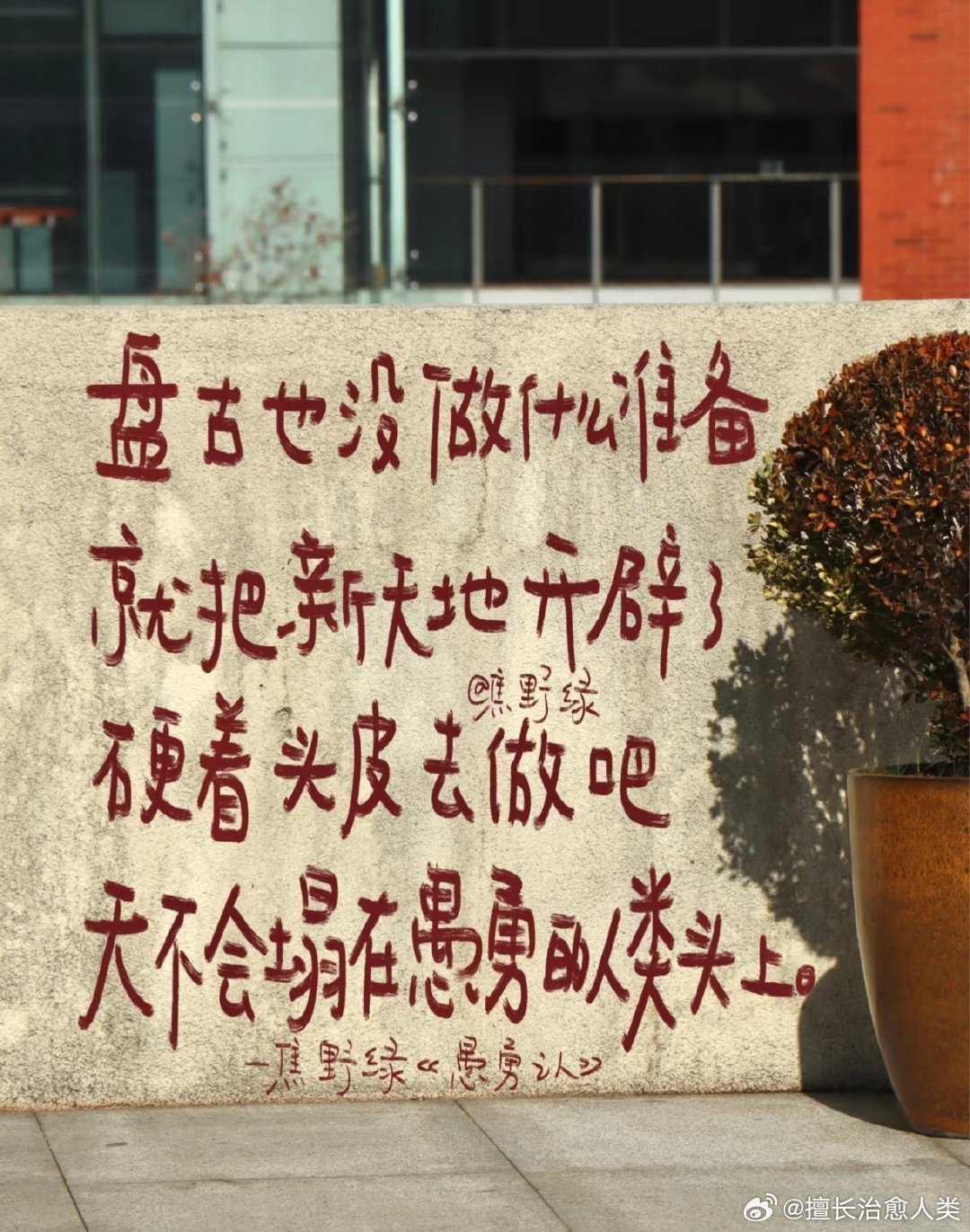 建议大家尽早培养「硬着头皮上的主动性」