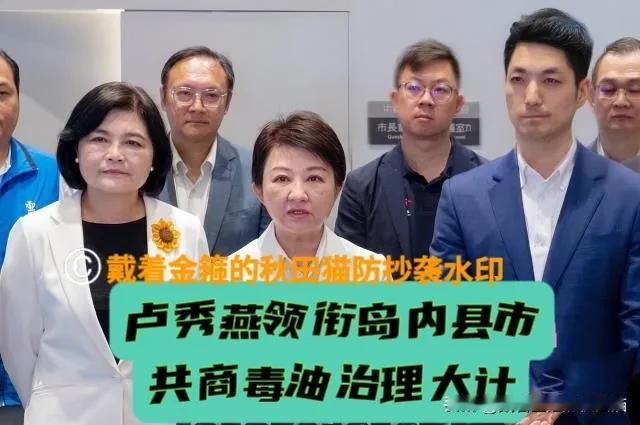 闭门会商40分钟，决定绕开绿营当局！蒋万安、卢秀燕连线号召岛内22县市首长联手反