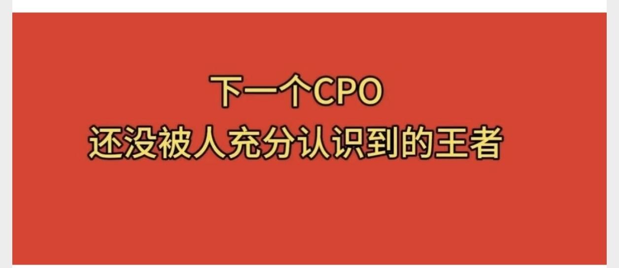 下一个CPO，还没被人充分认识到的王者