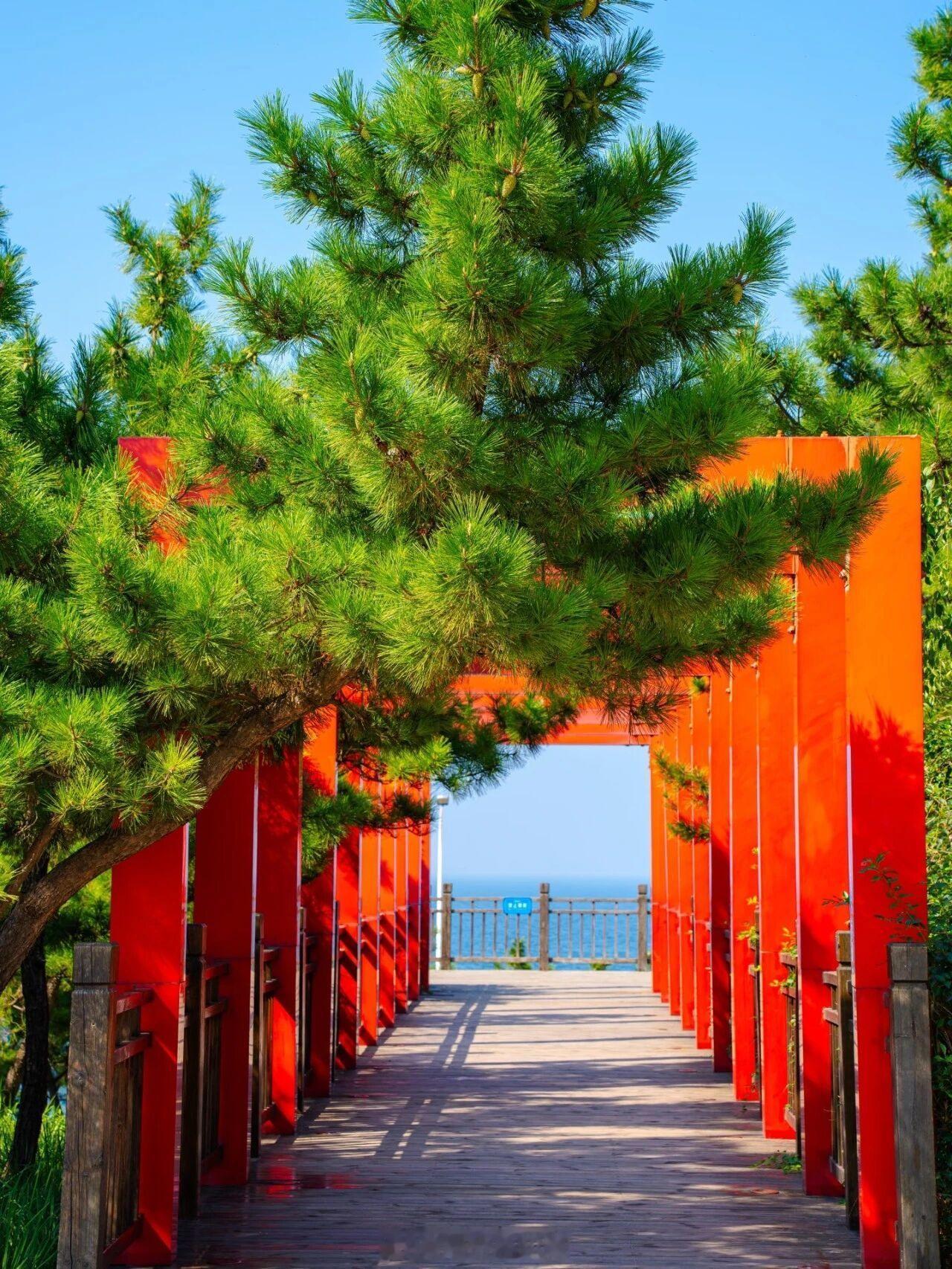 烟台滨海路机位合集来了来烟台旅游的友友们要一句劝，一定要留一整天给滨海路！烟