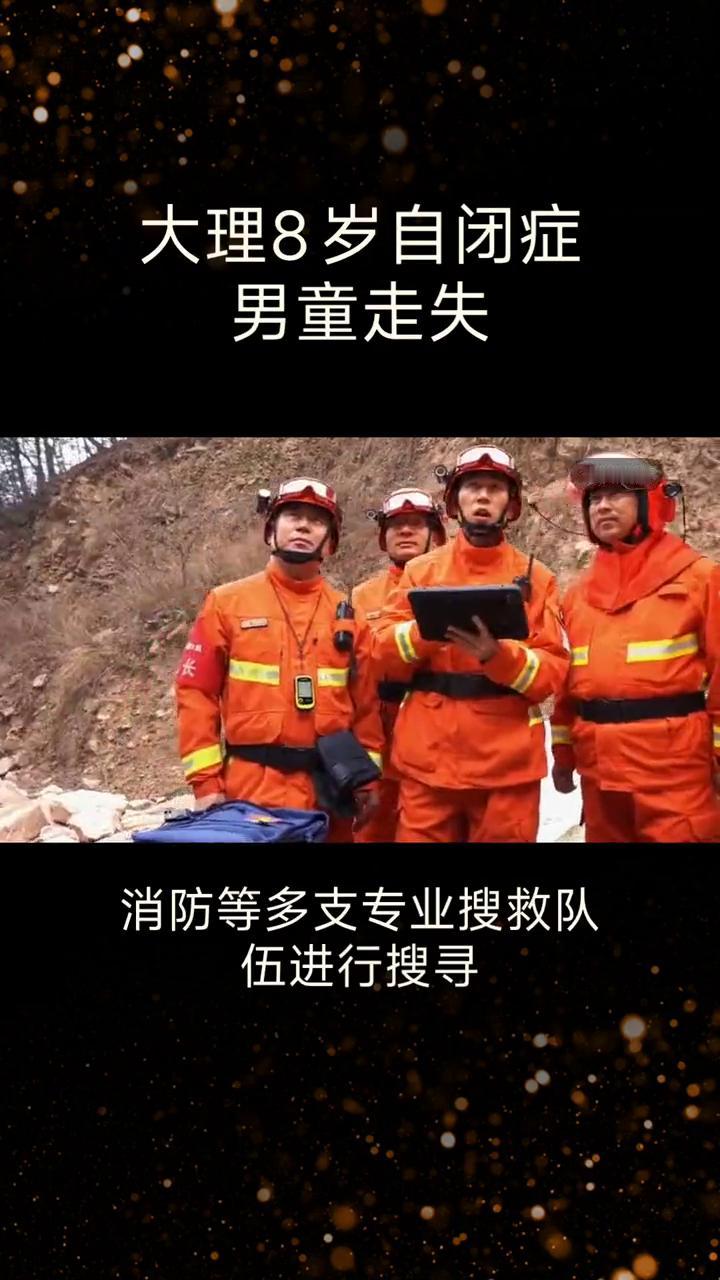 大理8岁自闭症男童走失。8月9日，一名8岁自闭症男童在苍山迷路，历经数日搜救，