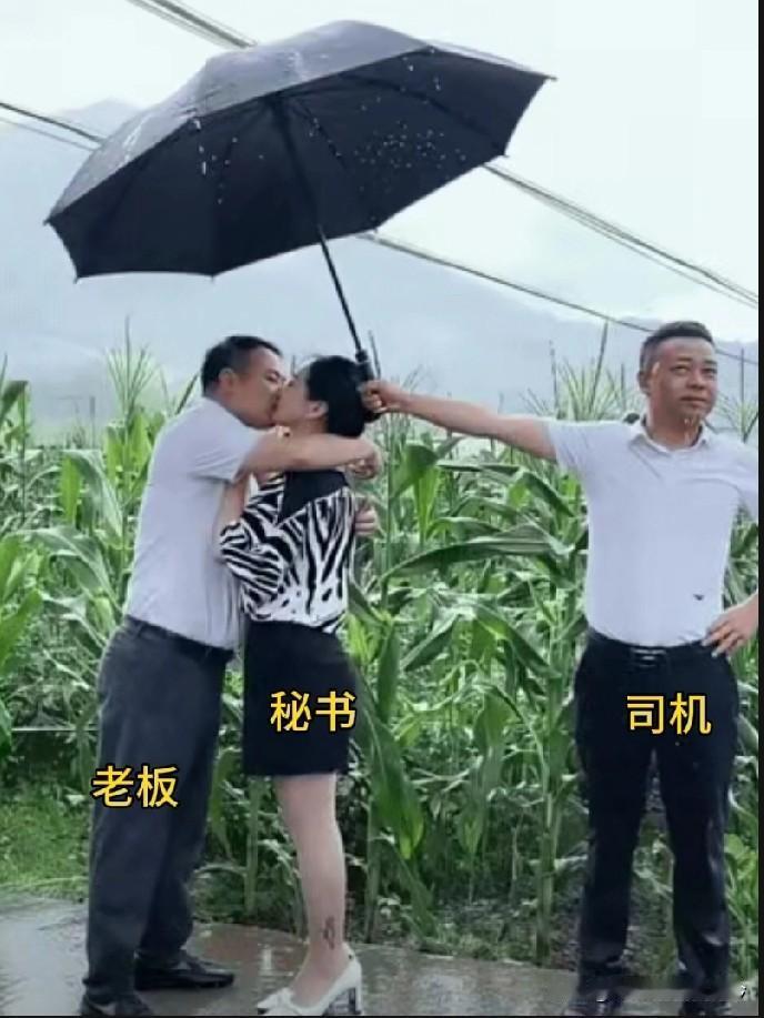 贴心司机的“神助攻”哪个老板能不喜欢这样的司机呢？某次野外参观时，老天爷突然