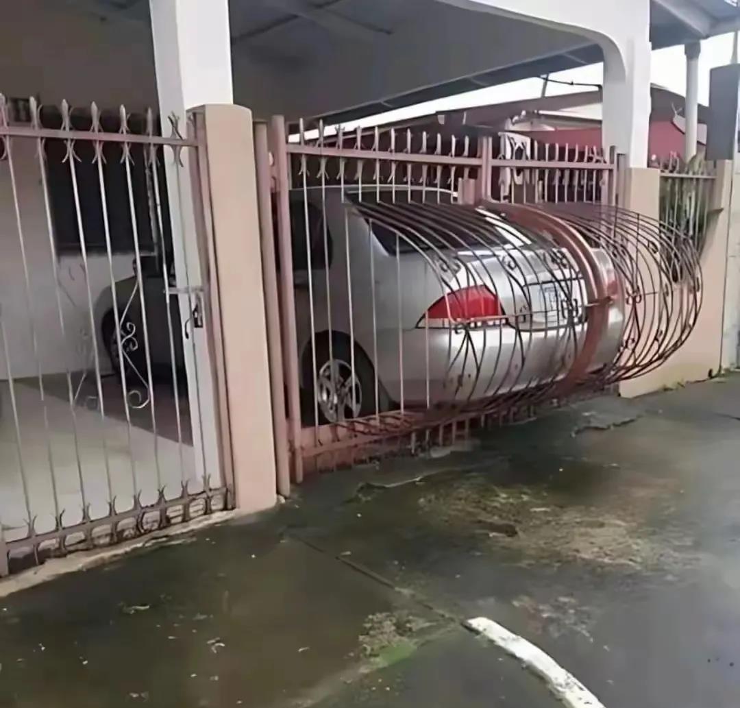 这就是人类的智慧
