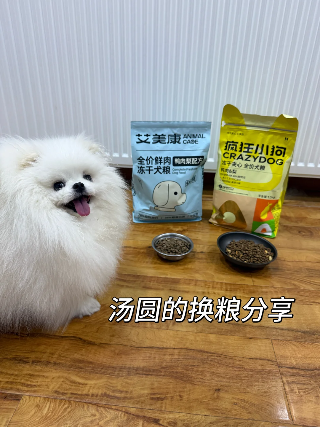 挑食小狗汤圆换粮成功了！