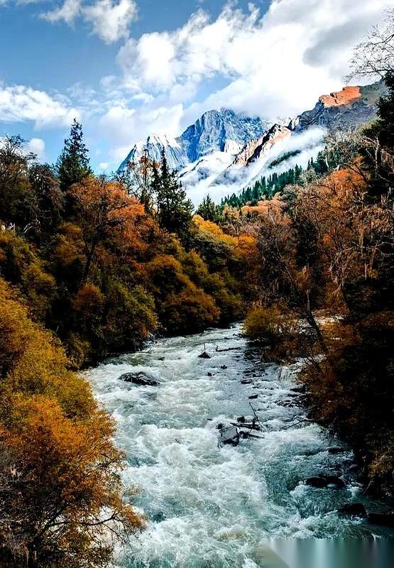 每年冬天，总有几个朋友，非要把自己往死里作。练得比谁都狠，吃得比鸡都少。结果