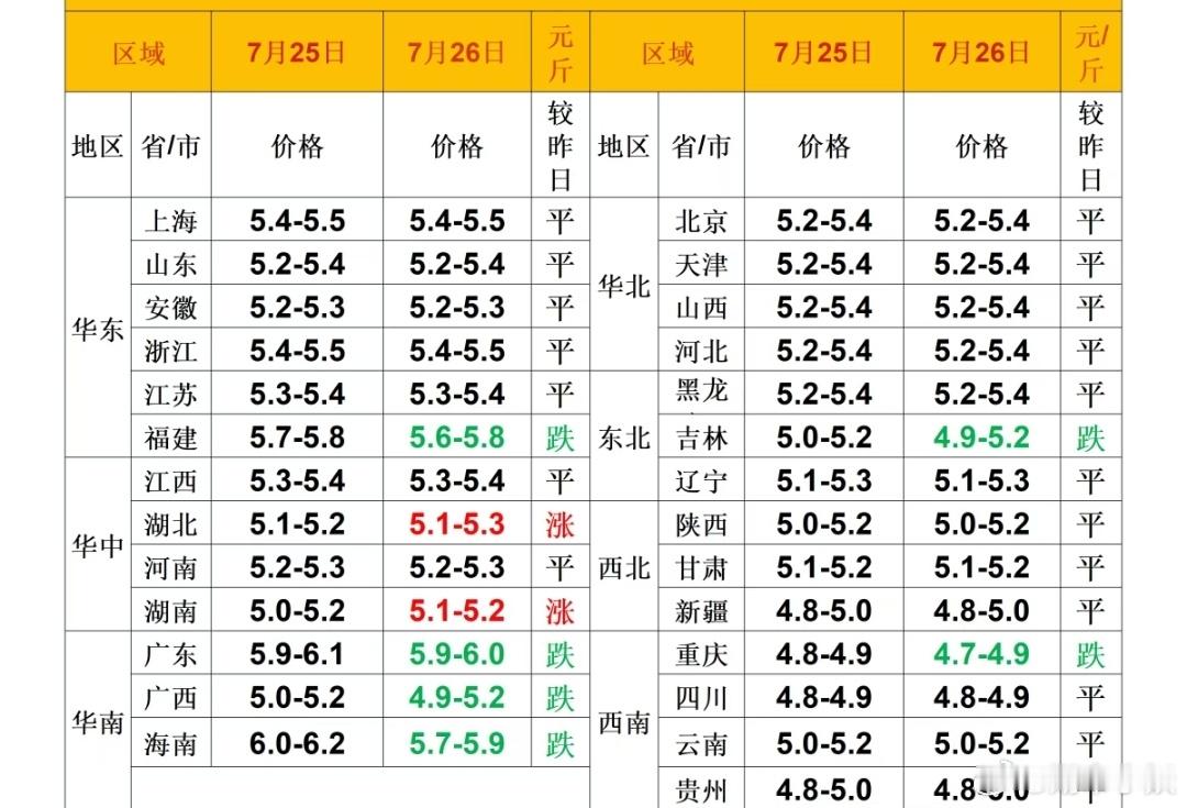 每日猪价