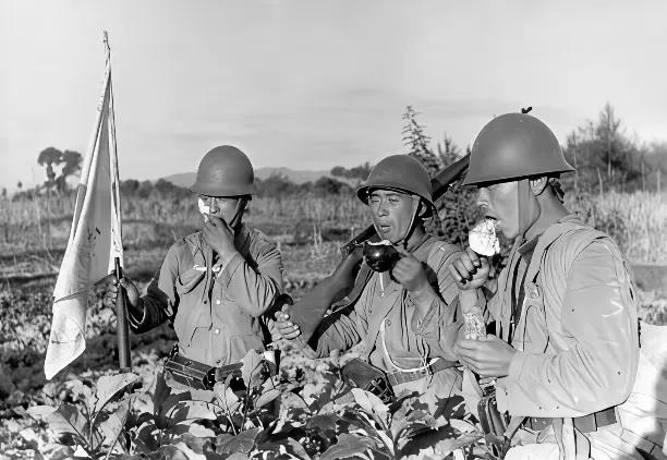 三个日本鬼子，在老百姓的菜地里偷吃茄子，在他们的身上用“偷”都是奢侈的，应该用肆