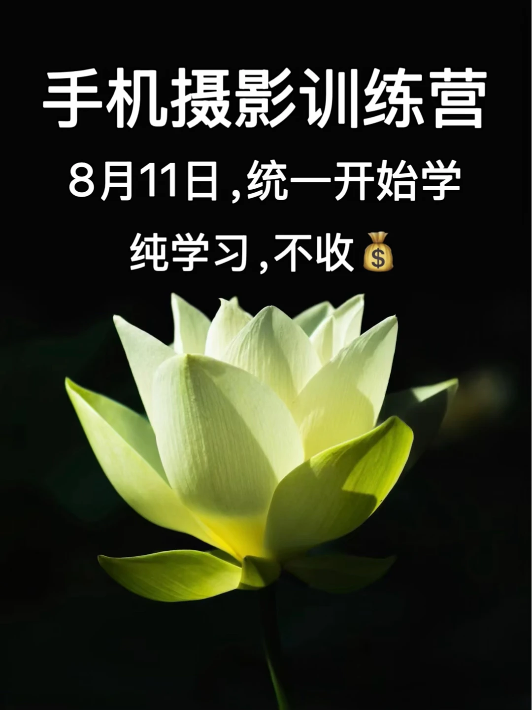 学手机摄影技巧 | 手机摄影训练营 | 学摄影