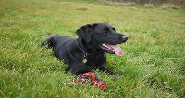 三国时期，有个人叫李信纯，非常贪杯。一天，他在城外喝酒，刚想回家，却醉倒在草丛里