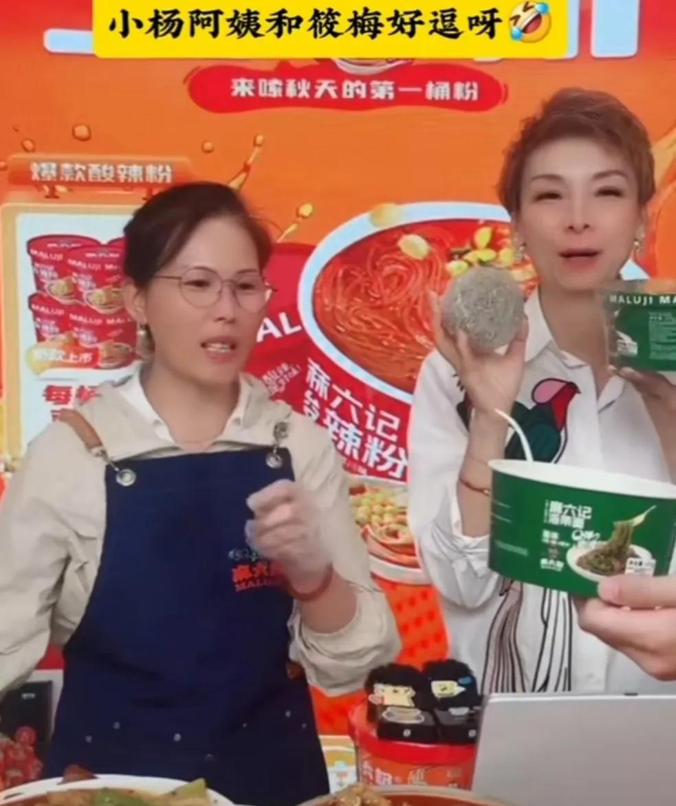 昨天杨阿姨在麻六记总部直播时，聊起在台北直播的经历。马筱梅建议她去好一点的地方直