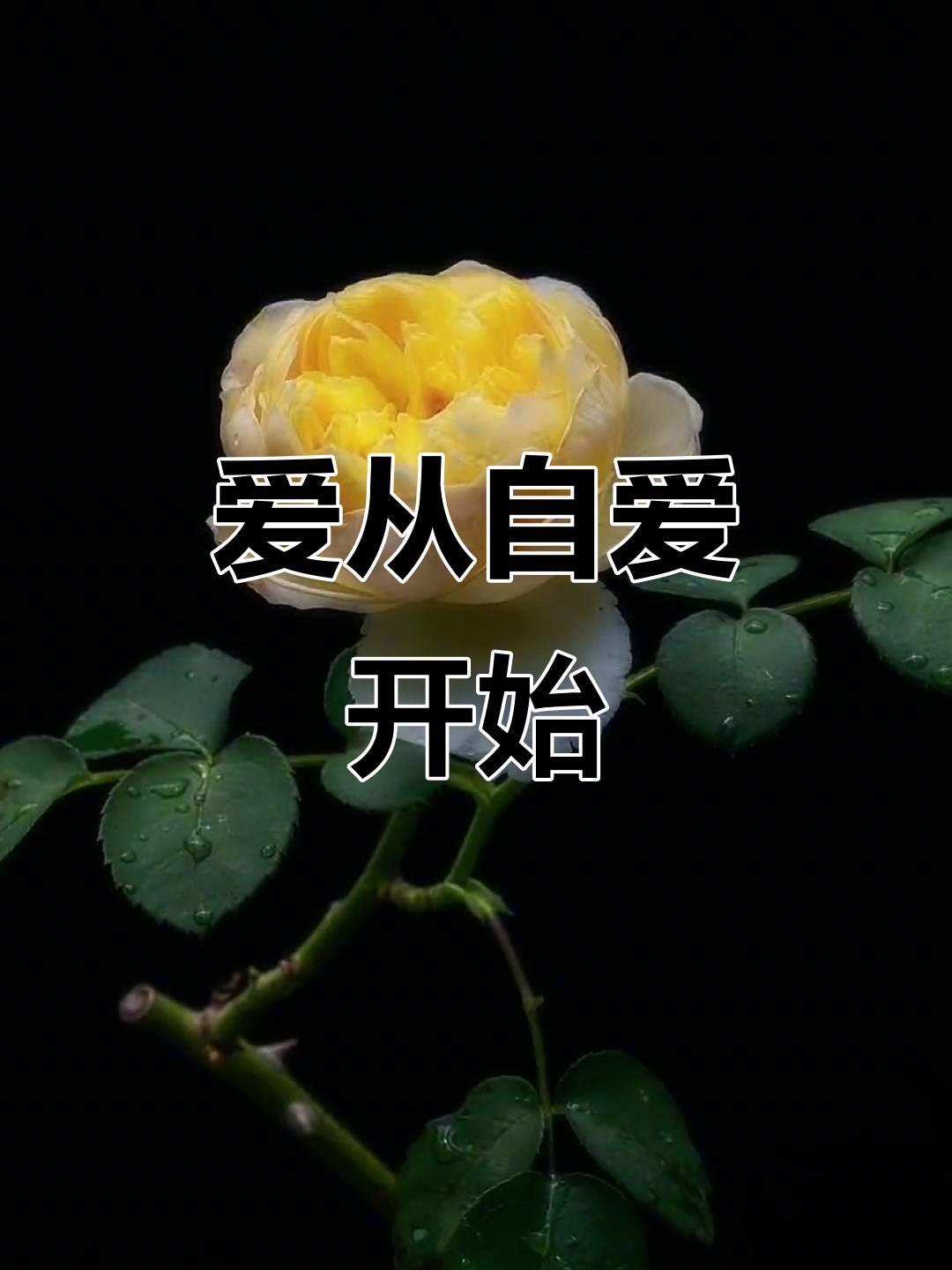 当你真正开始爱自己,你才会明白,从前那些要命的痛苦,那些深夜的辗转反侧,