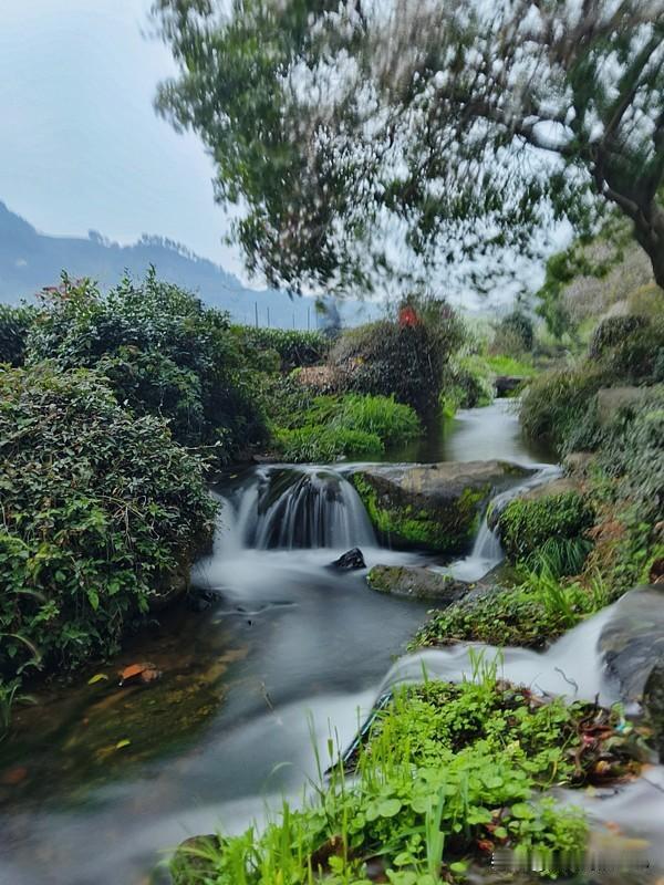 上联：风吹雾散青山秀，下联：雨细花红碧水流。横批：瞻此良辰[吐舌头眯眼睛笑]