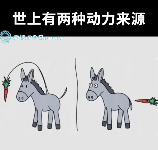 所谓提前奖励（9gag）今日meme今日memes