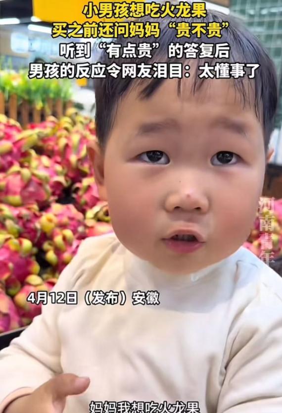 安徽，小男孩想吃火龙果，问妈妈“贵不贵？”妈妈下意识地说了一句有点贵，结果小男孩
