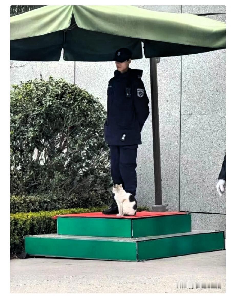 我特别欣赏邻居的儿子，一个普通二本的毕业生，投了上百份简历都石沉大海，但他没有