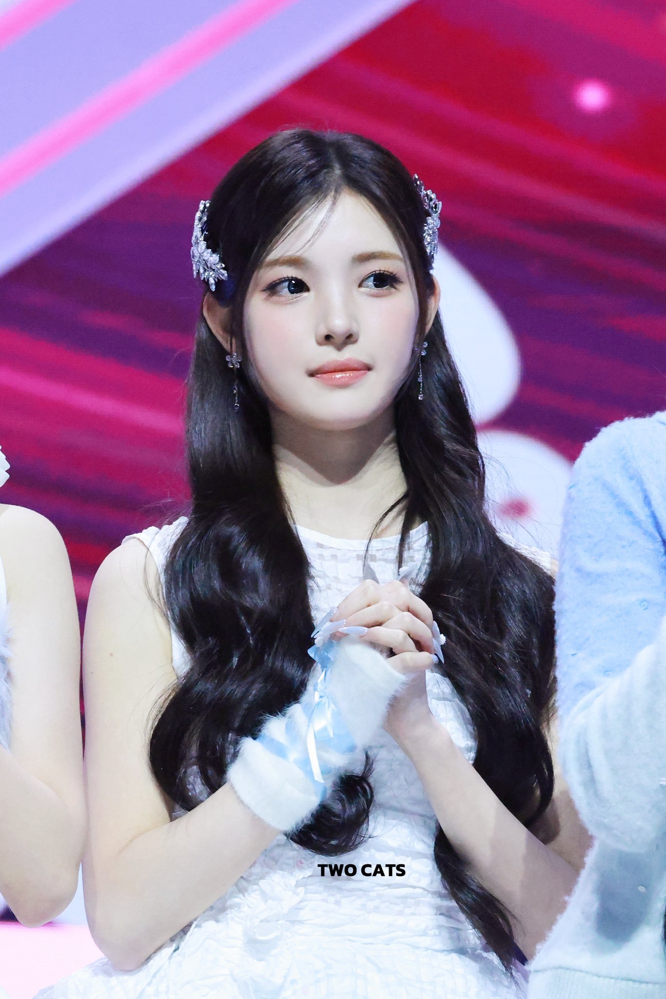 愚人节贺图🤩我家白天鹅公主🦢.wislove232/twocats_u/ot