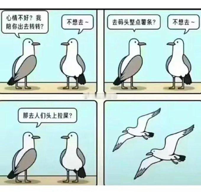 这个建议不错[doge]​​​