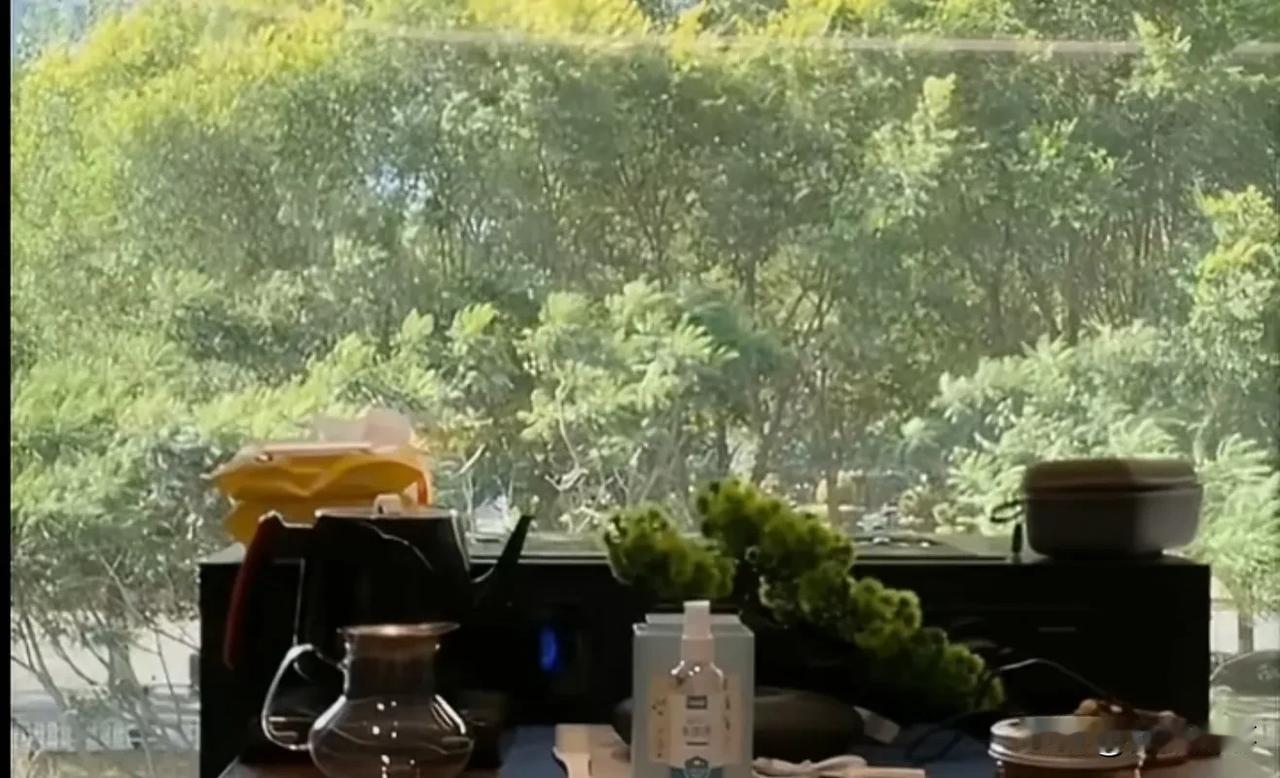 天佑拒谈巴扎黑，真一半假一半的，总整热点！天佑拒谈巴扎黑