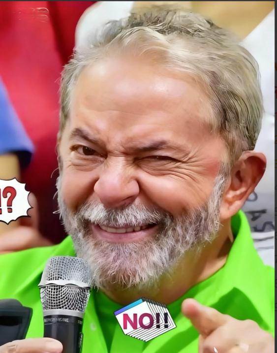 巴西还是动手了！2026年4月6日，巴西外贸委员会一纸决定传遍全球。针对中国