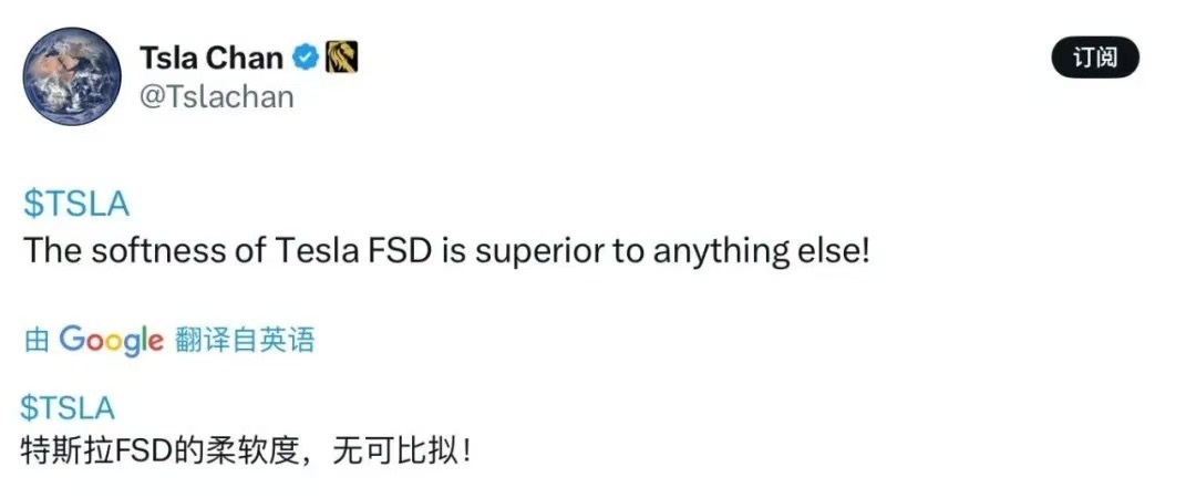 特斯拉智能辅助驾驶施工区域丝滑避障，博主：轻松拿捏复杂路况！表现远超其他品牌车型