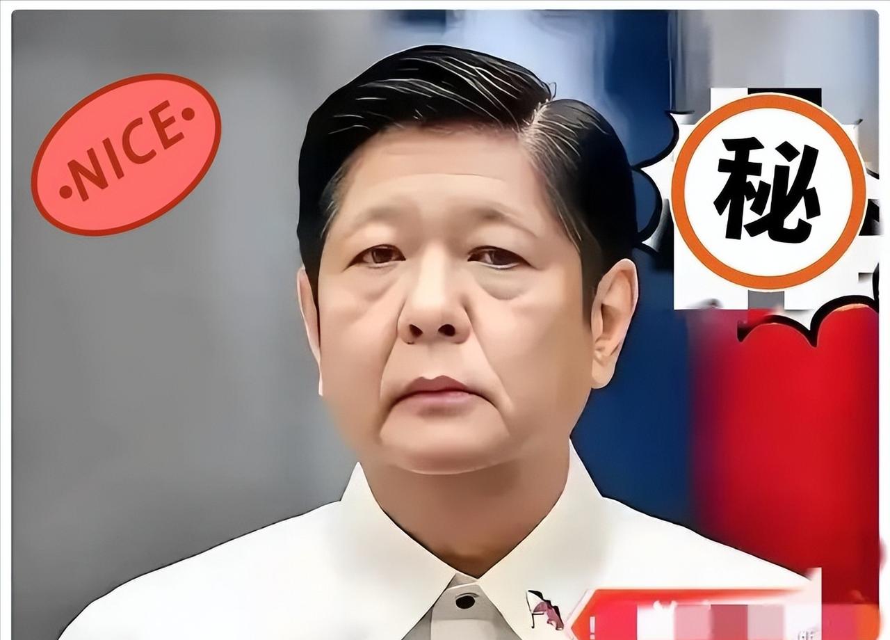 快报！快报！菲律宾正式宣布11月9日，菲律宾国家减灾委传来揪心消息，台