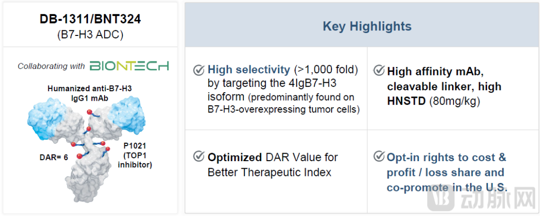 BD带不动创新药了