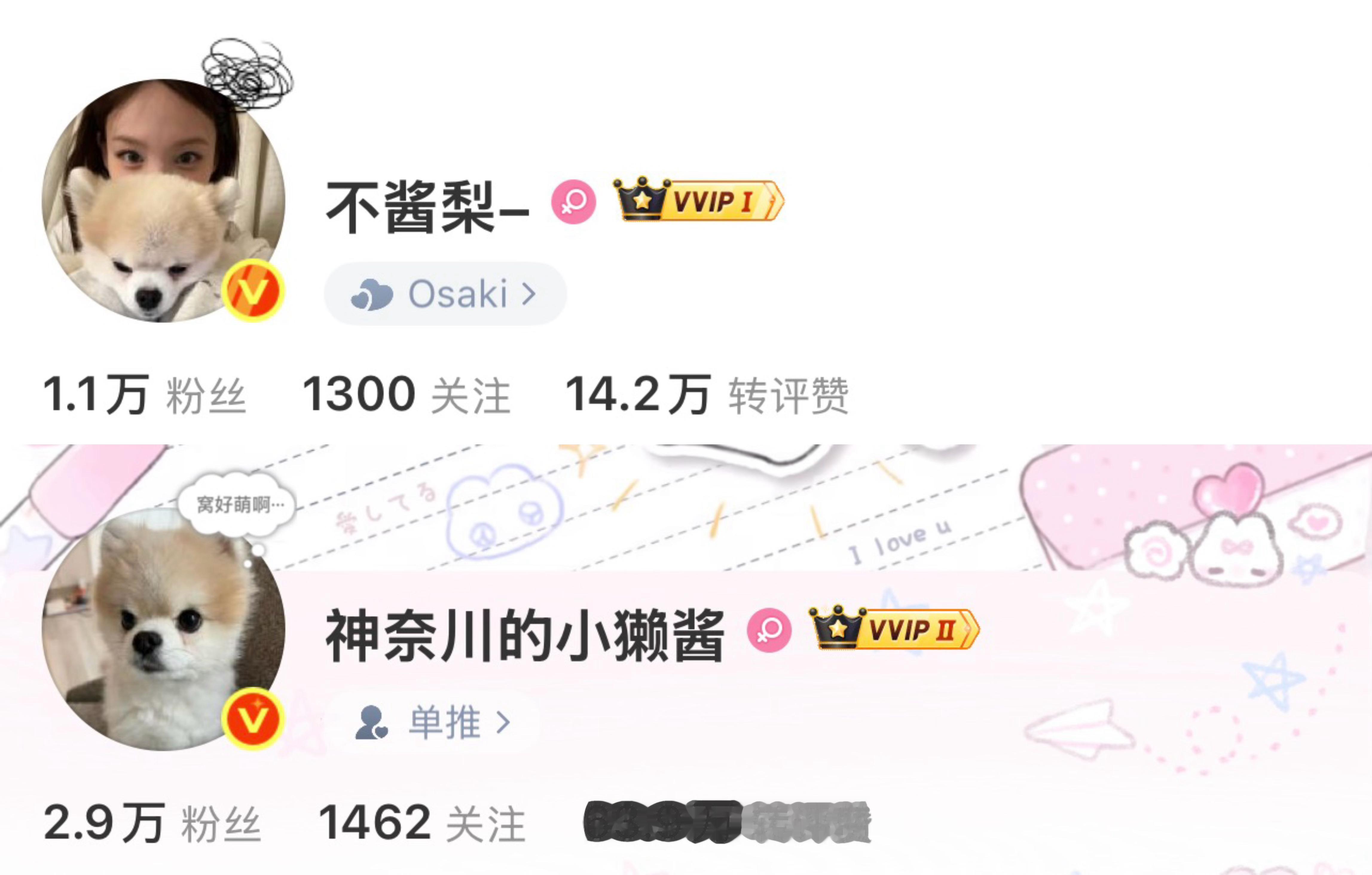 不讲理和她的宠物​​​