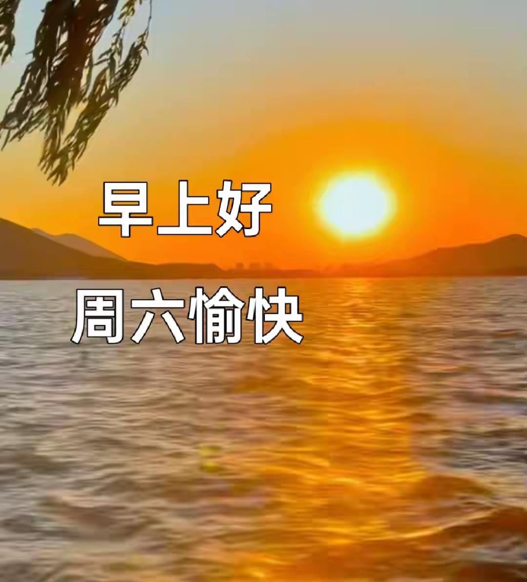 九月金风拂树梢，晨光漫洒染新秋；暑气散尽心自安然，怀一份恬淡，静度岁月悠悠。