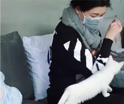 汪小菲深夜失眠，脑子里闪回的不是明星光环，而是她织毛衣时被小猫踩了一脚的画面。