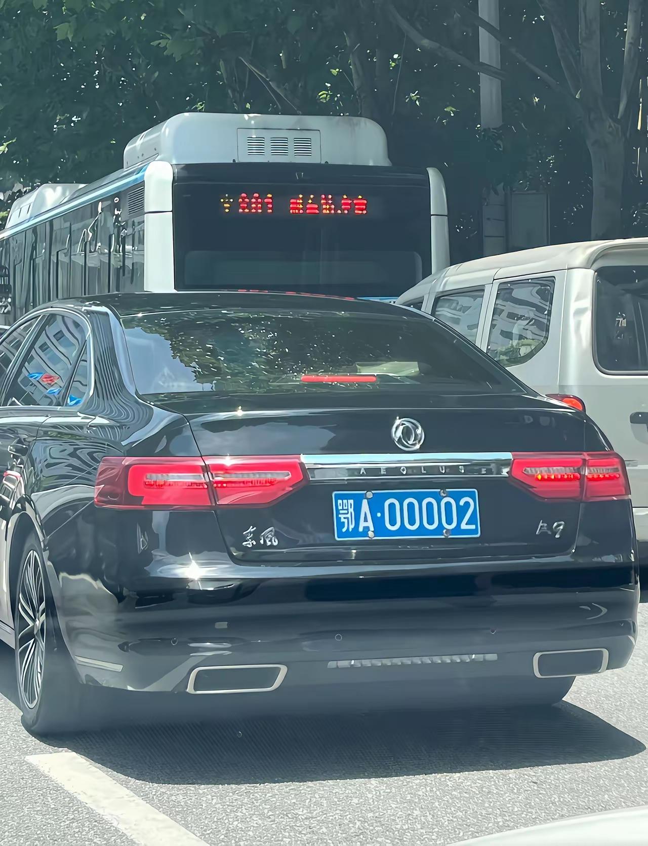 我想知道一下，这种车到底是不是政府的车，有人说这是省委省政府饿的2号车，也就是省