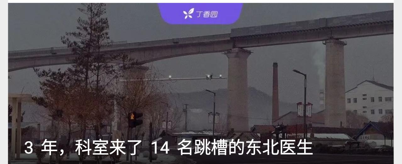 通过三个东北医生的故事，呈现了近年东北医生南迁潮中的不同境遇。毛胜国因受领导压制