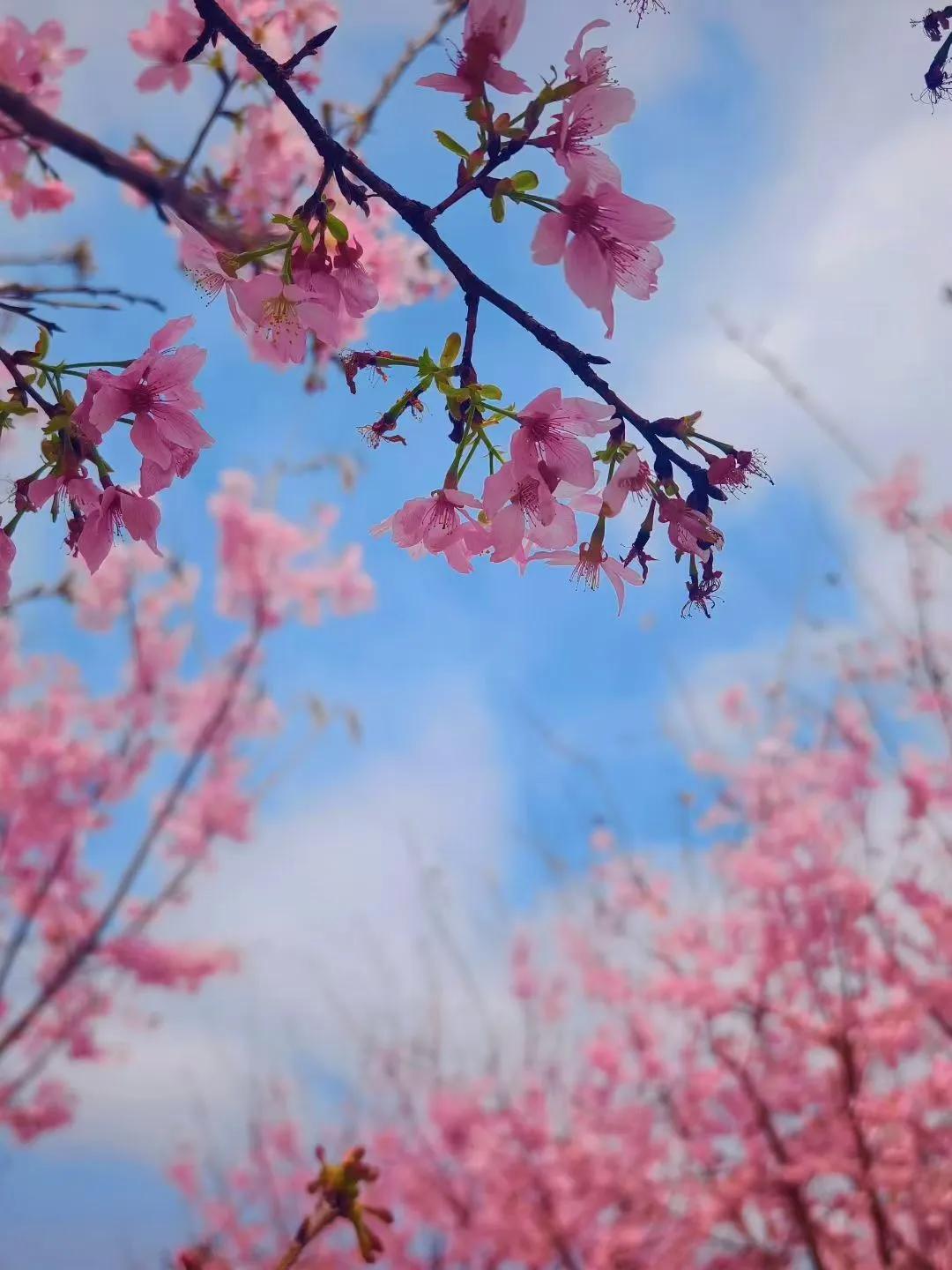 成年人的安全感，来自金钱的充足。都说钱不是万能的，但是没有钱真是万万不能。小
