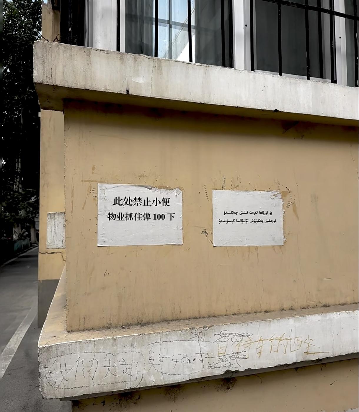 夏日生活打卡季新疆人太抽象了，这是要弹什么？