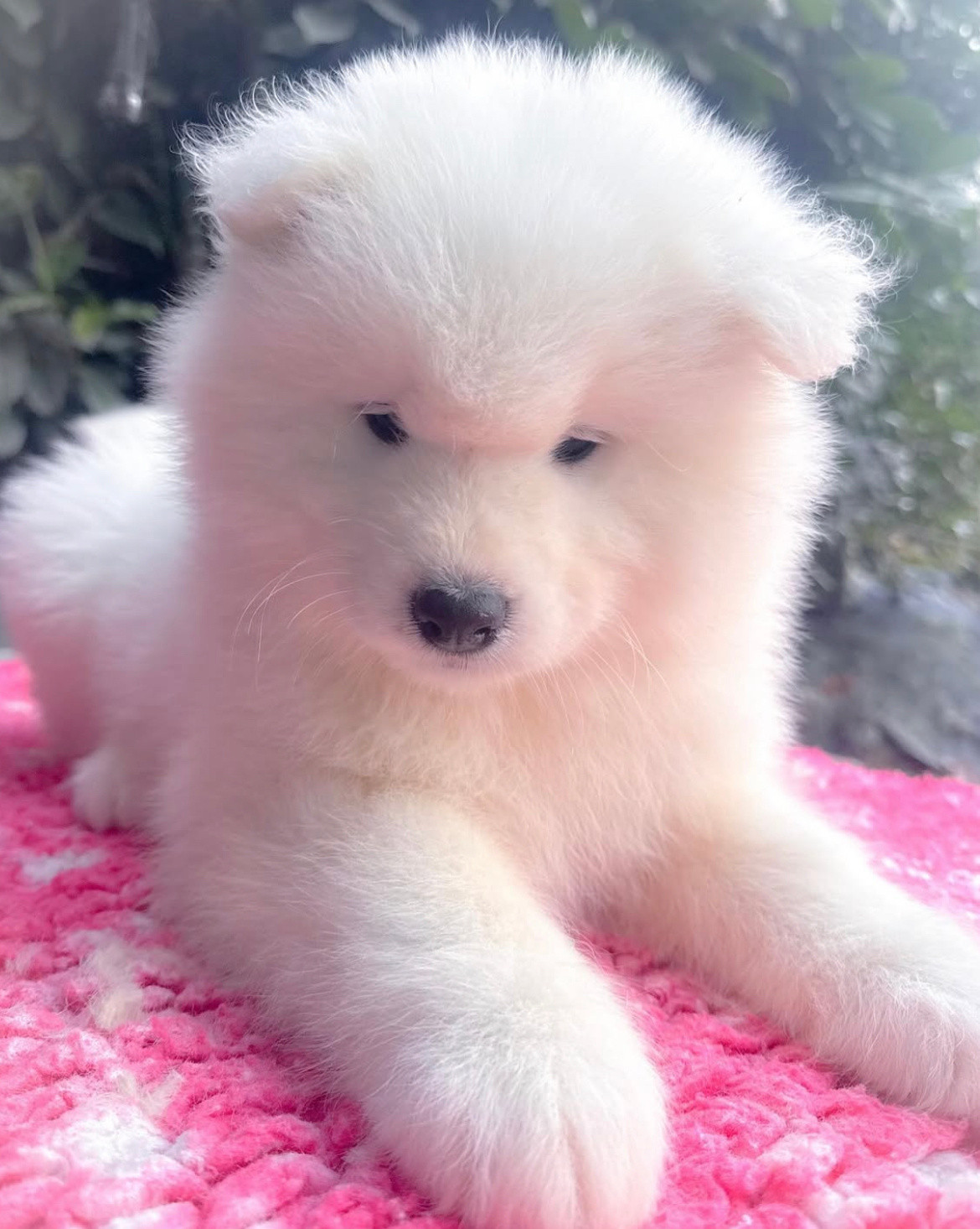 你再说我是三孔插座我就狠狠瞪你！​​​