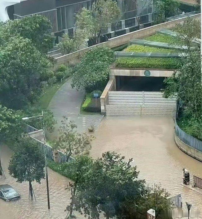 这物业费交的一点都不冤这种小区交物业费我觉得是应该的这物业费交的一点都不