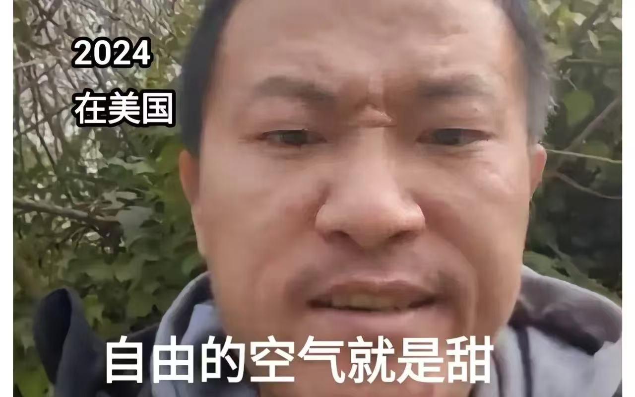 好消息、好消息，我们的电子宠物王伟恒在消失了八个多月之后终于回归了，之前还一直担