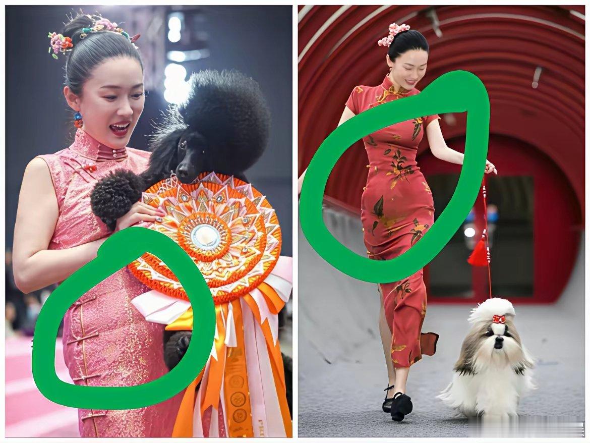 我发现一个玄学，只要是霍思燕带她的狗去比赛不管她是国外还是在国内，她居然都是穿着