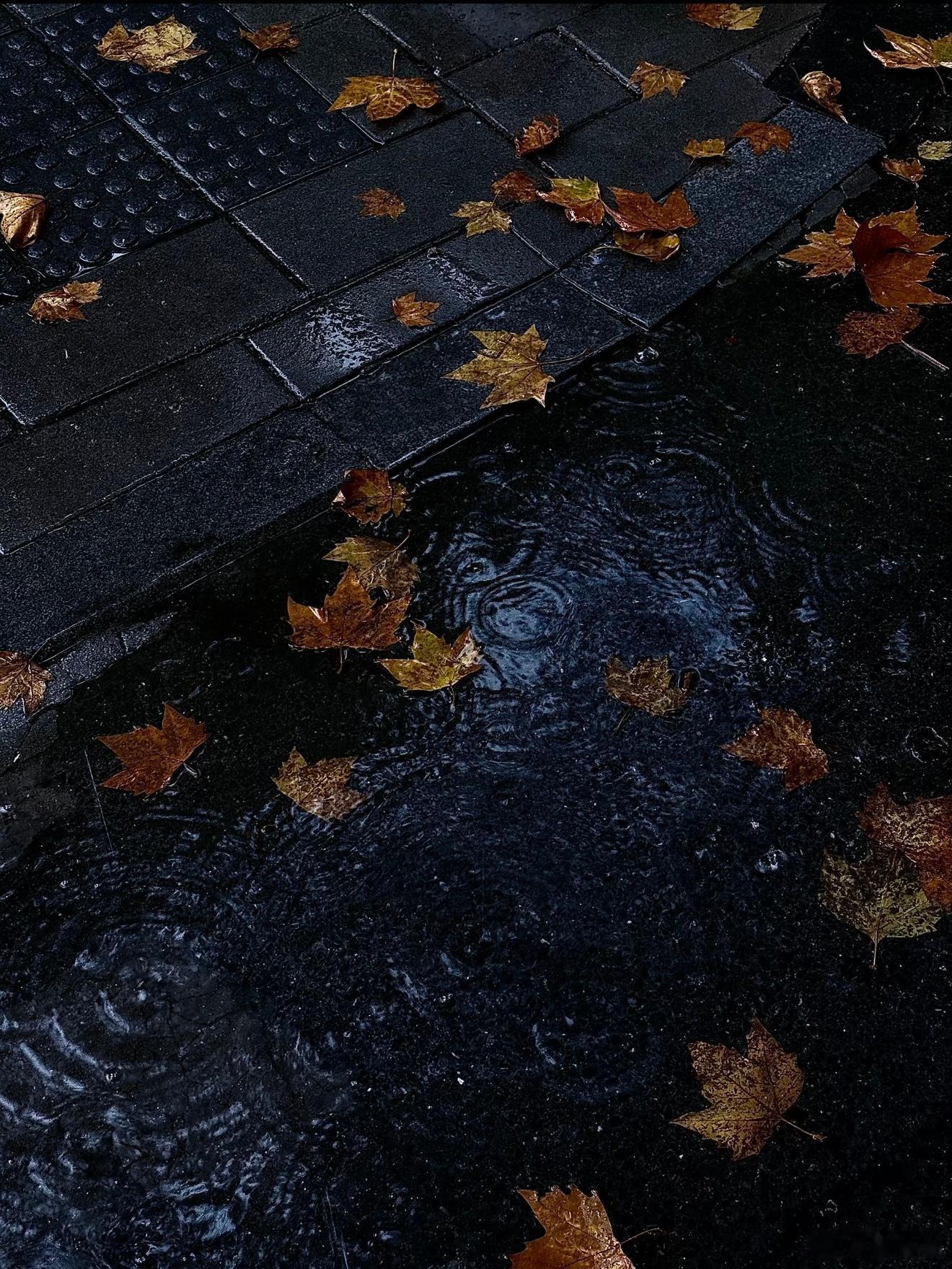 一个女孩子不更新动态不发朋友圈你说她是在低谷期呢还是在好好生活呢。​​