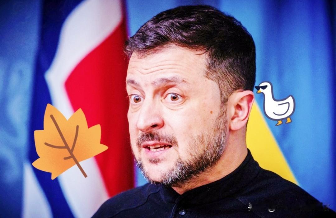 乌克兰消息！泽连斯基宣布了！当地时间12月11日，泽连斯基对外放话，给美国
